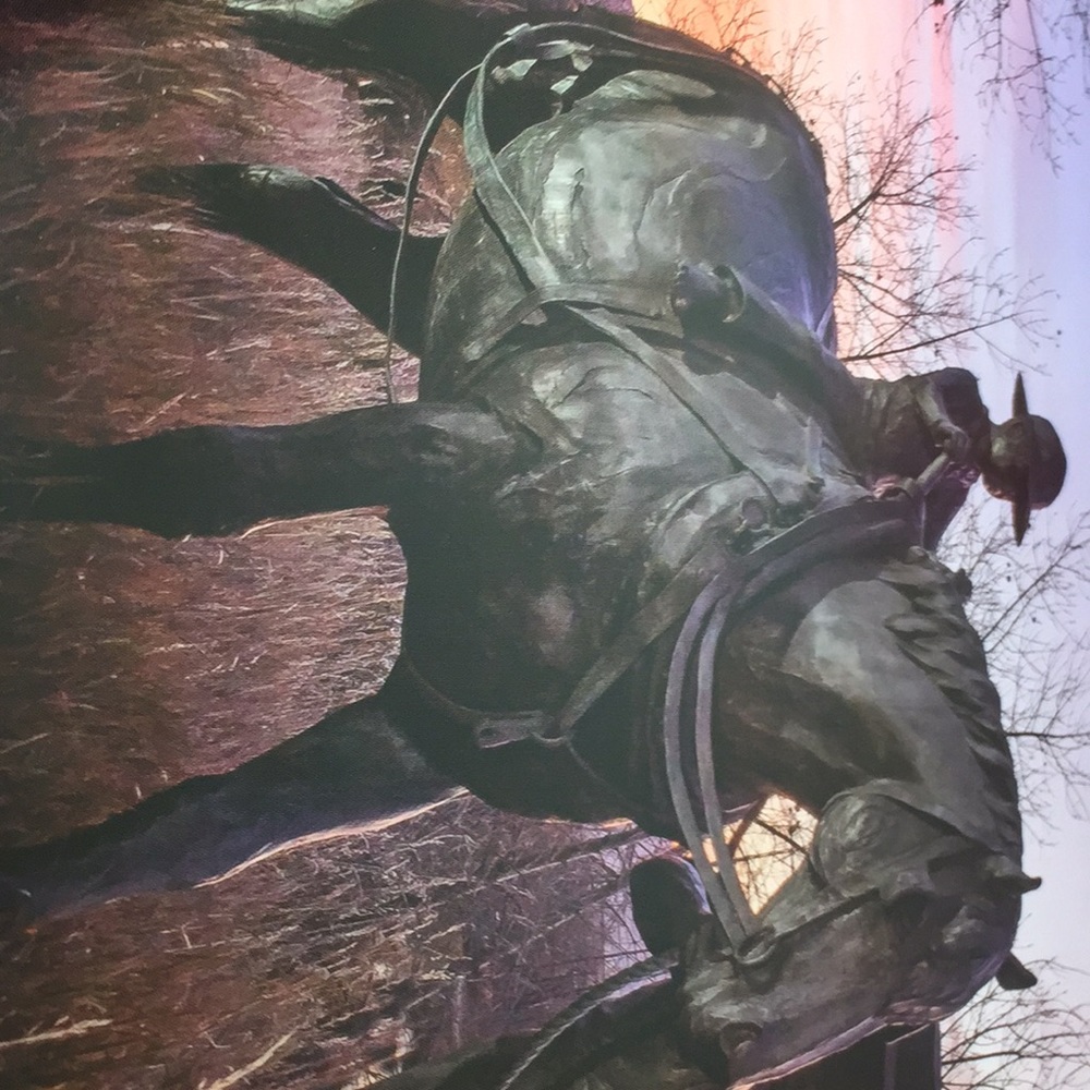 Meet your Posher, Sandra